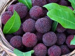 嘉弘塑料護目鏡專用PVC粒料，助力早日打贏疫情